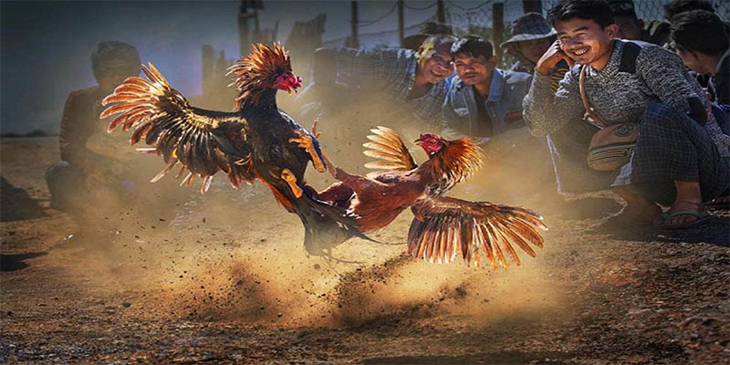 xổ số bữa nay
